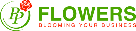 ws logo